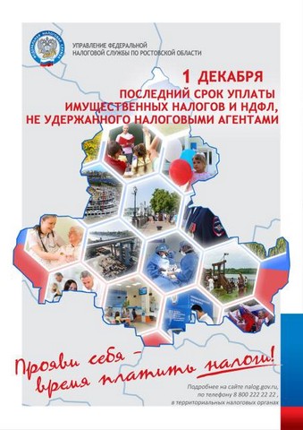 1 декабря последний срок уплаты имущественных налогов и НДФЛ