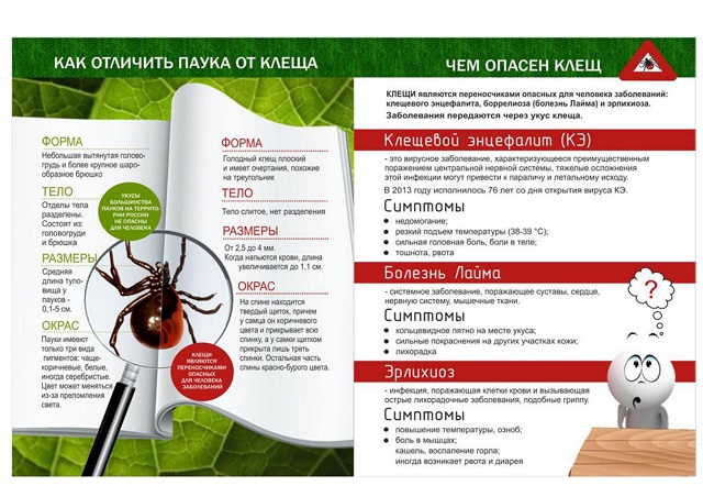 profilaktika v kartinkah kleschevoy encefalit page 0001