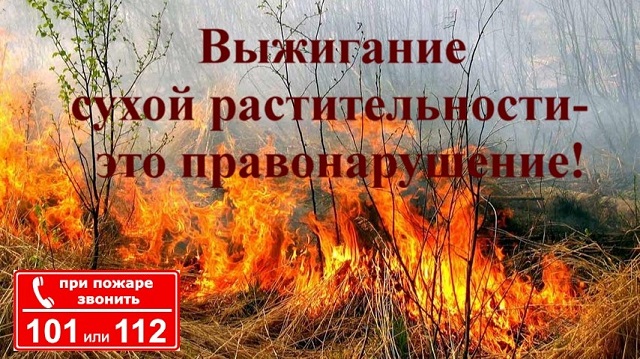 zapret 2024 08 29